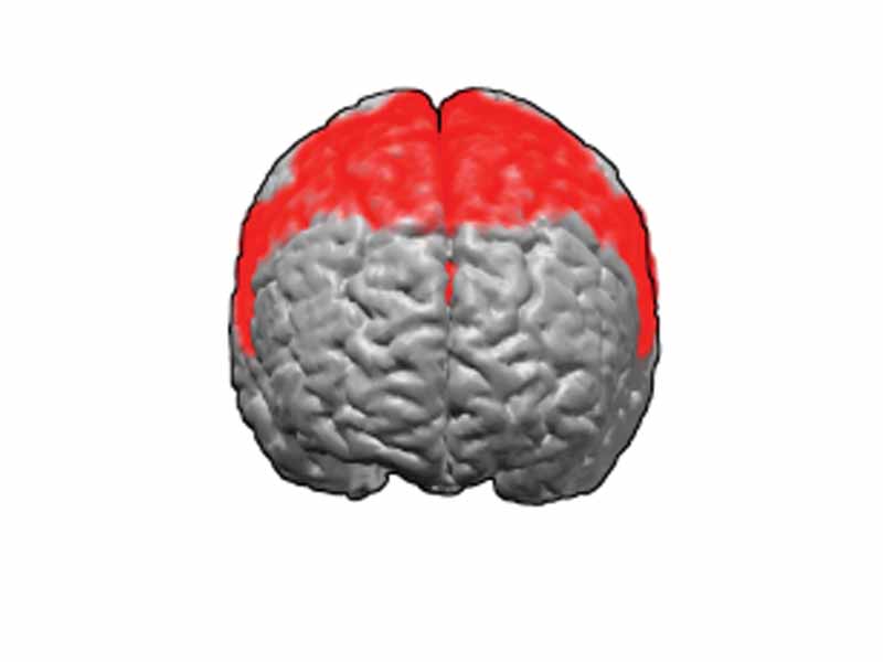Brodmann areas 6. BA6 is in the posterior part of the frontal lobe.