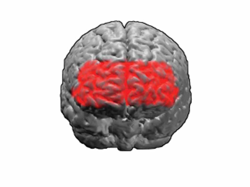 Brodmann area 10.  BA10 is in the anterior (front) part of the frontal lobe.