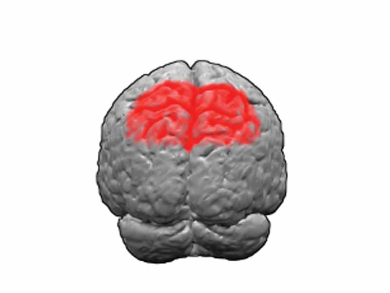 Brodmann area 7 is one of Brodmann's cytologically defined regions of the brain. It is involved in locating objects in space. It serves as a point of convergence between vision and proprioception to determine where objects are in relation to parts of the body.