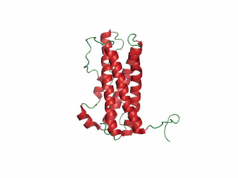 Prolactin