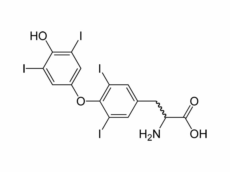 Thyroxine