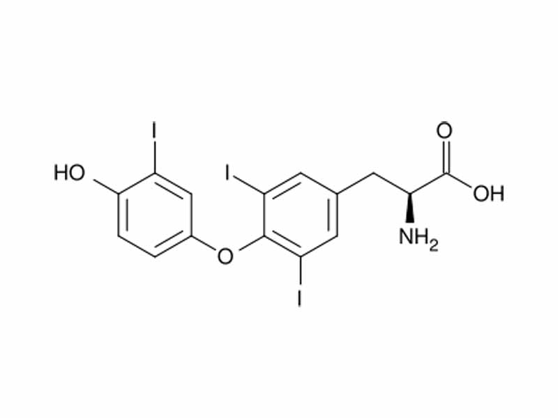 Triiodothyronine