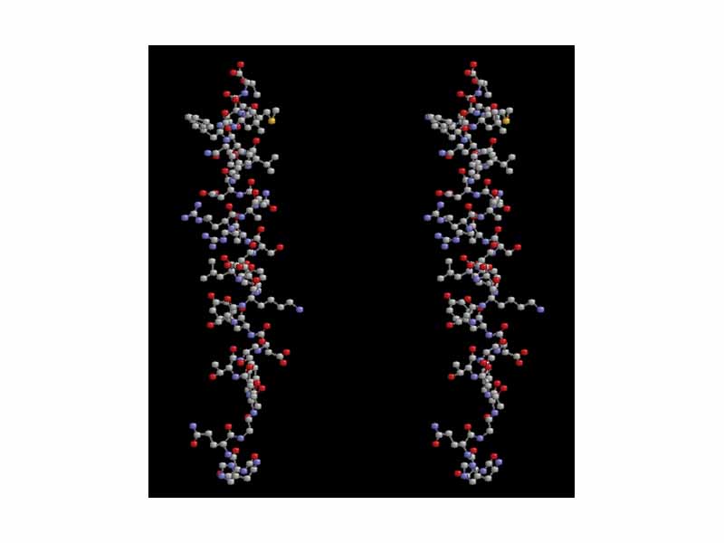 Animation - Glucagon Stereogram