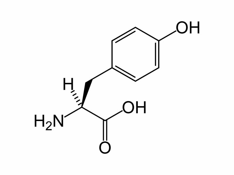 Tyrosine