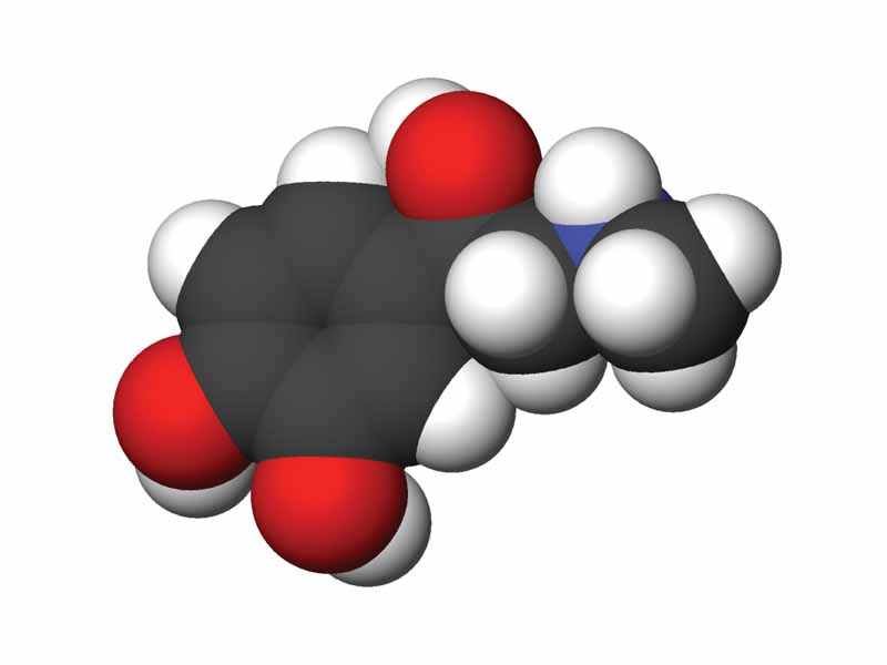 Epinephrine 3D