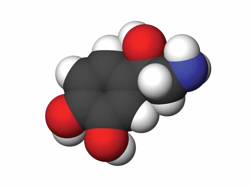 Norepinephrine 3D