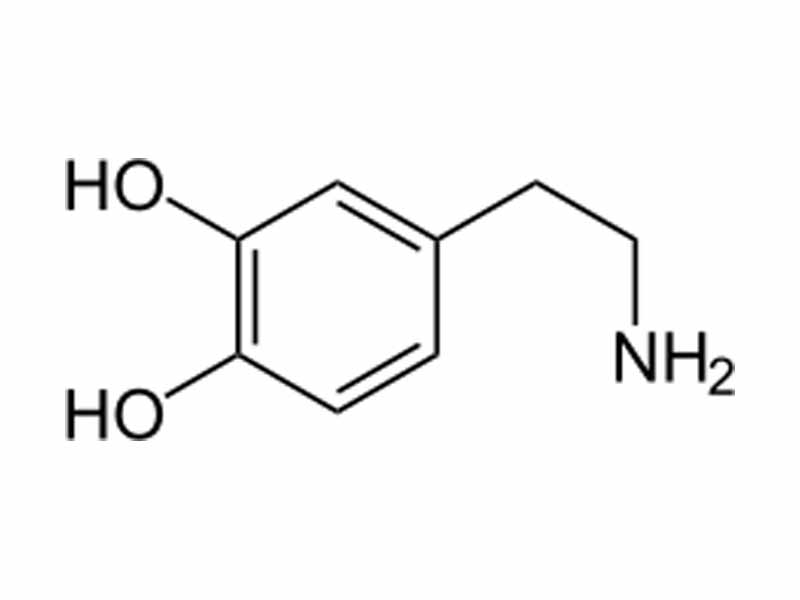 Dopamine