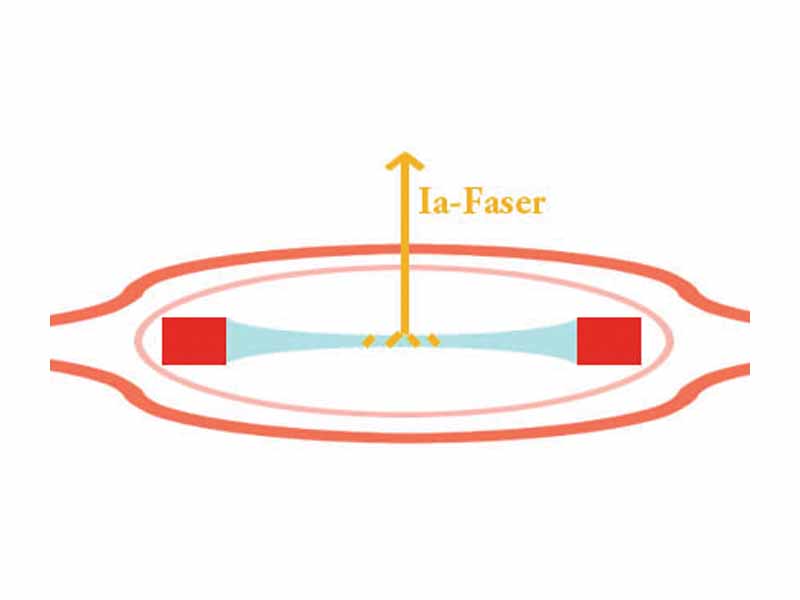 1A fiber