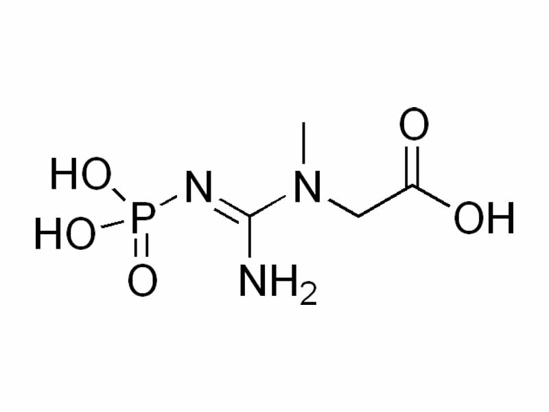 Phosphocreatine