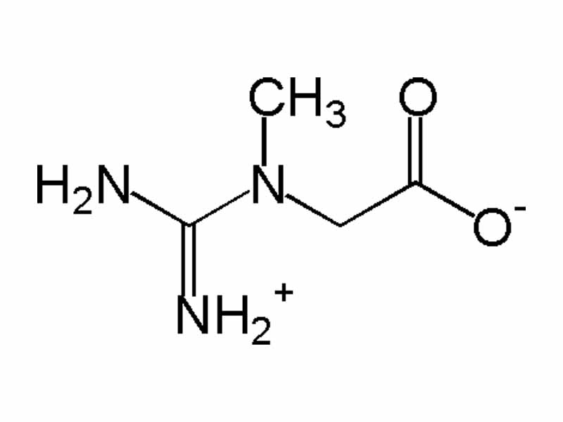 Creatine