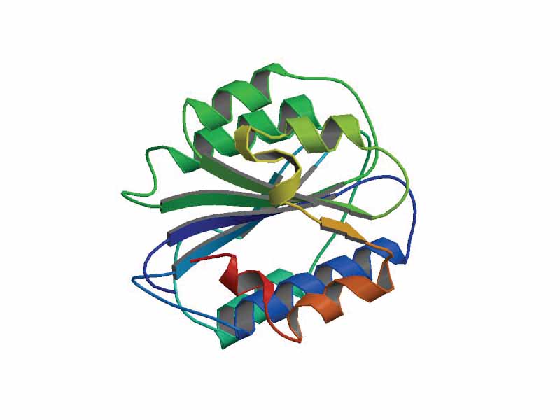 Von Willebrand factor