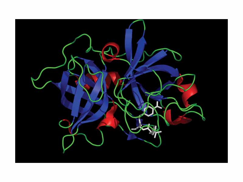 Urokinase