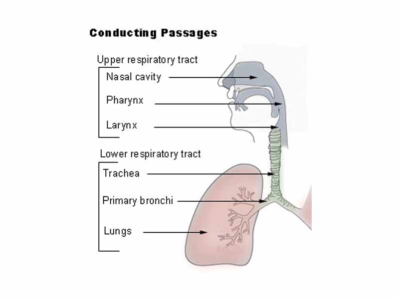 Conducting passages