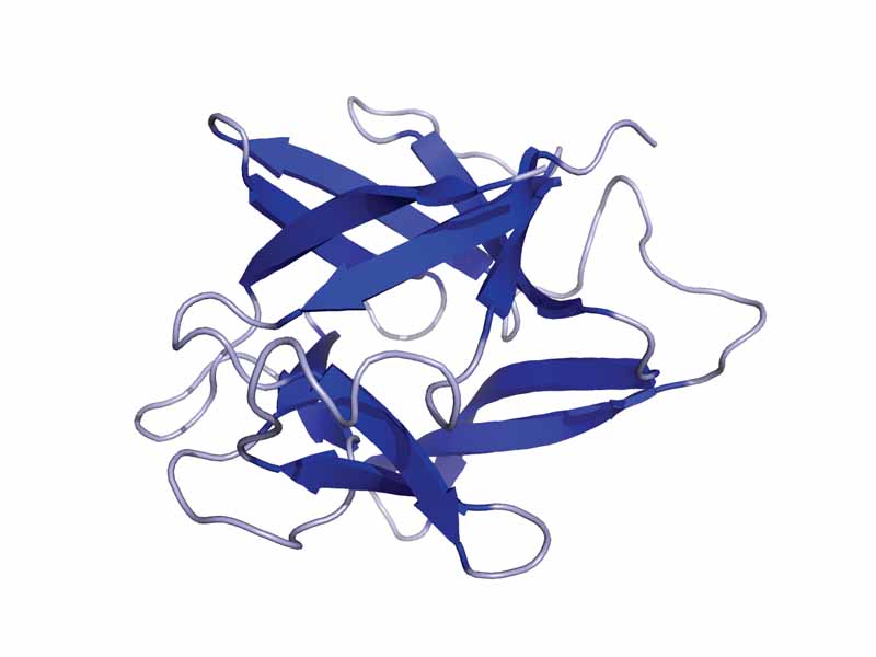 Crystal structure of IL-1b