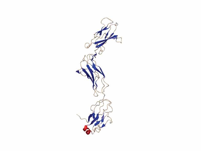 Glycoprotein 130