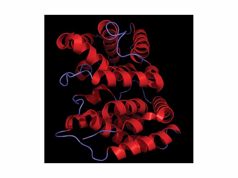 Crystal structure of human IL-22