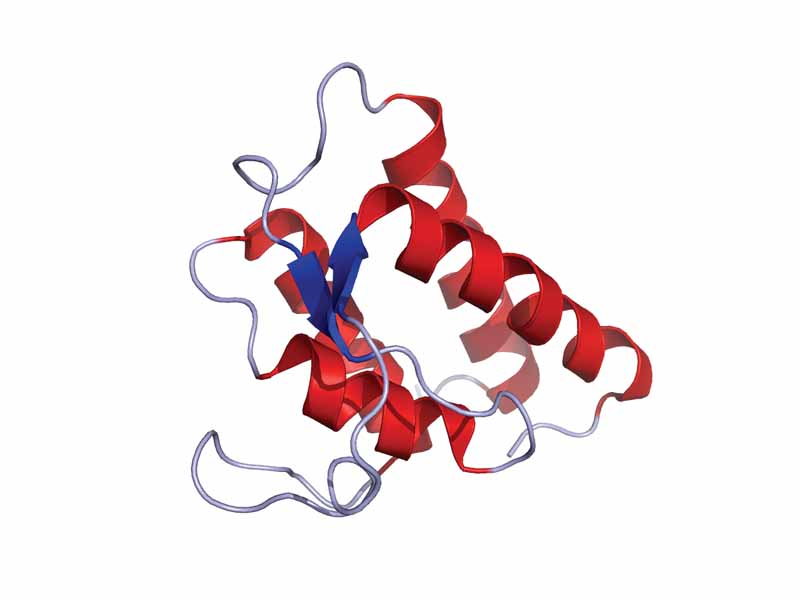 Solution structure of human IL-13