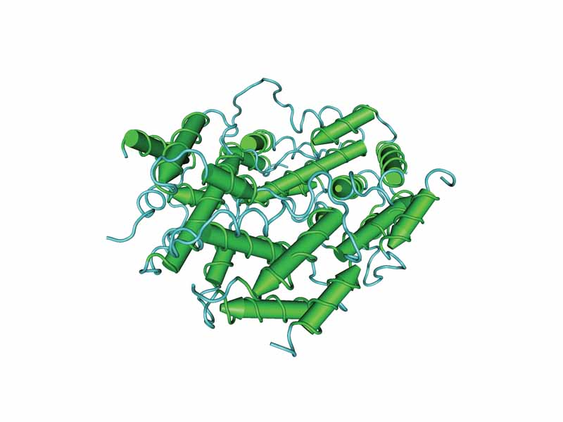 The 3D structure of human IFN-?