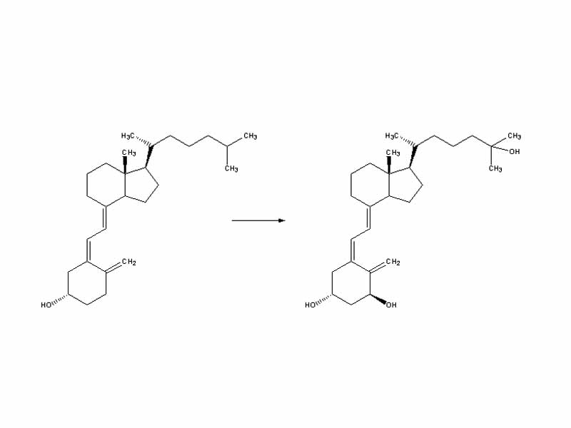 Whether it is made in the skin or ingested, vitamin D3 (cholecalciferol) is then hydroxylated in the liver to 25-hydroxycholecalciferol (25(OH)D3 or calcidiol) by the enzyme 25-hydroxylase produced by hepatocytes, and stored until it is needed.  25-hydroxycholecalciferol is further hydroxylated in the kidneys by the enzyme 1?-hydroxylase, into two dihydroxylated metabolites, the main biologically active hormone 1,25-dihydroxycholecalciferol (1,25(OH)2D3 or calcitriol) and 24R,25(OH)2D3. This conversion occurs in a tightly regulated fashion.  Calcitriol is represented below right (hydroxylated Carbon 1 is on the lower ring at right, hydroxylated Carbon 25 is at the upper right end).