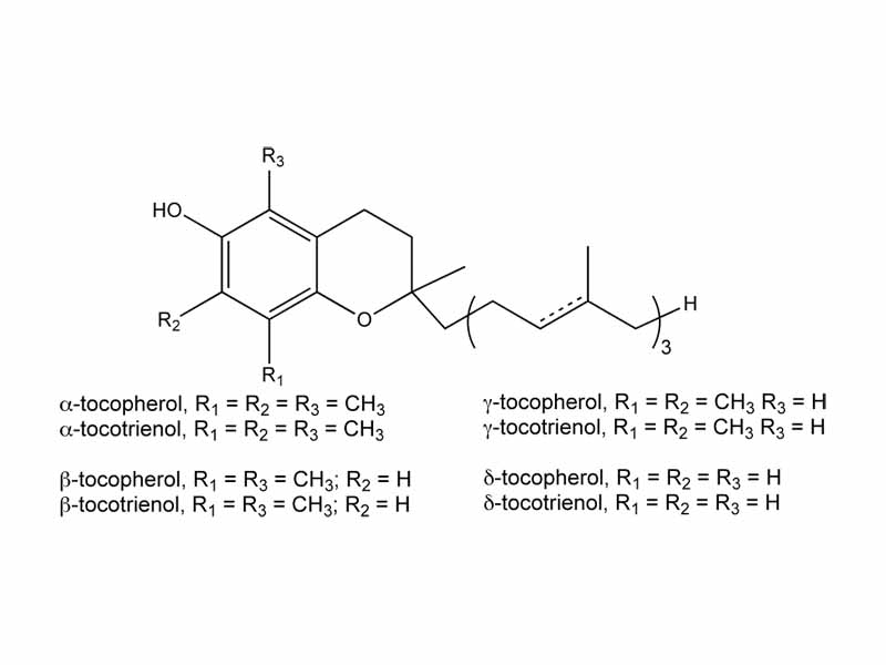 Forms of Vitamin E