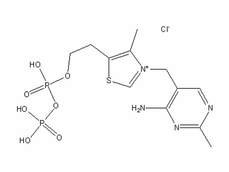 Thiamine pyrophosphate