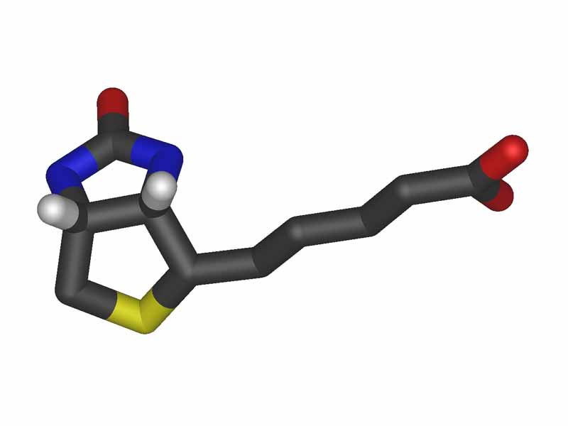 Biotin 3D