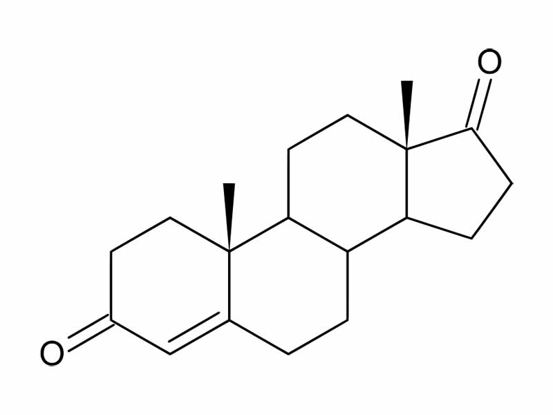 Androstenedione