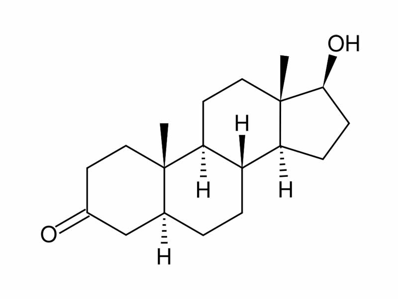 Dihydrotestosterone