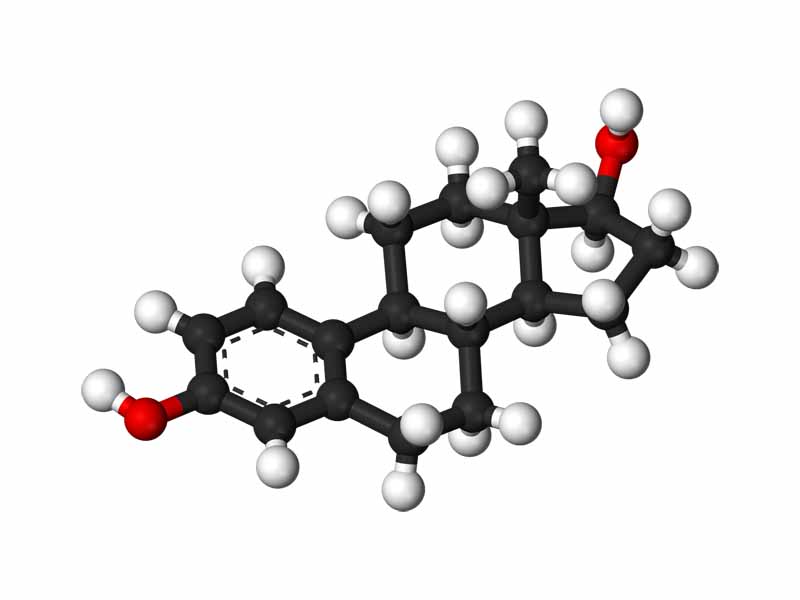 Estradiol - 3D