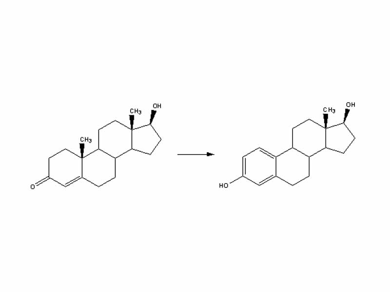 Conversion of testosterone to estradiol