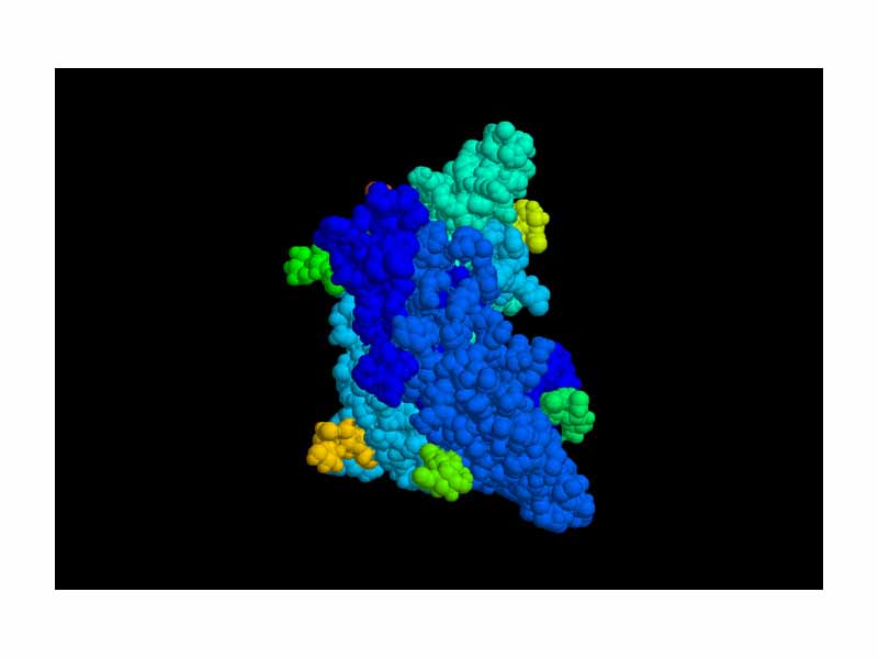 Follicle Stimulating Hormone