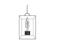 Spring scale in elevator