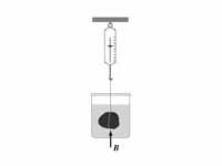 Illustration of Archimedes principle