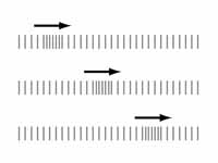 Longitudinal wave