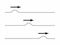 Transverse wave