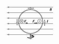 Current loop within a magnetic field