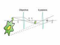 How a microscope works