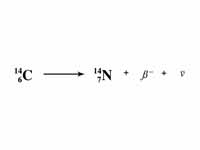 Beta decay reaction of carbon 14