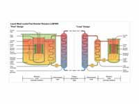 Schematic diagram showing the differe...