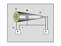 Cathode ray tube