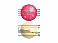 Top: Expected results: alpha particle...