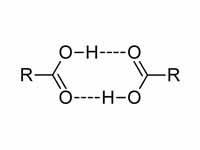 Carboxylic acid dimers.