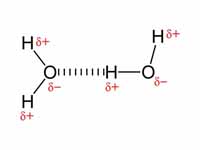 Hydrogen bonding in water