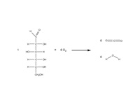 Combustion of glucose reaction.