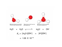 Acid base reaction.