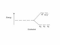 Octahedral CFT splitting