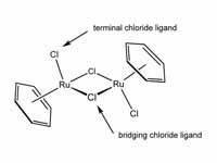 Structure of [(?6-C6H6)2Ru2Cl2(?-Cl)2]