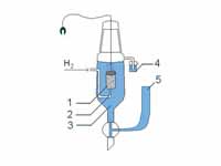 Standard hydrogen electrode