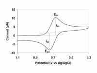 Typical cyclic voltammogram