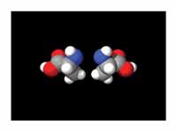 The two optical isomers of alanine